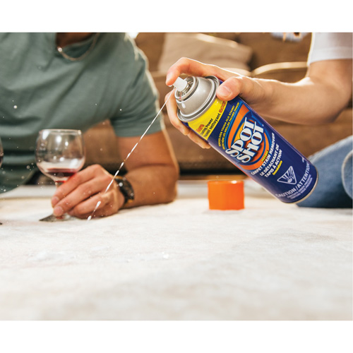 Spot Shot&reg; Professional Instant Carpet Stain Remover, 496 g, Aerosol Can Sidevic Inc.