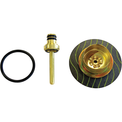 Filter/Regulator - Relieving Diaphragm & Valve Assembly Sidevic Inc.