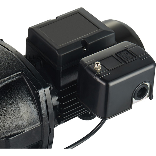 Pompe &agrave; jet en fonte &agrave; double tension pour puit peu profond, 115 V/230 V, 1100 gal./h, 1 CV Sidevic Inc.