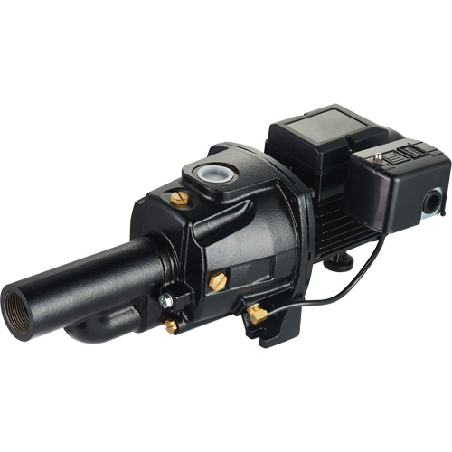 Pompe &agrave; jet en fonte &agrave; double tension transformable, 115 V/230 V, 1100 gal./h, 1/2 CV Sidevic Inc.
