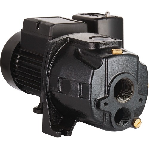 Pompe &agrave; jet en fonte &agrave; double tension transformable, 115 V/230 V, 1100 gal./h, 1/2 CV Sidevic Inc.