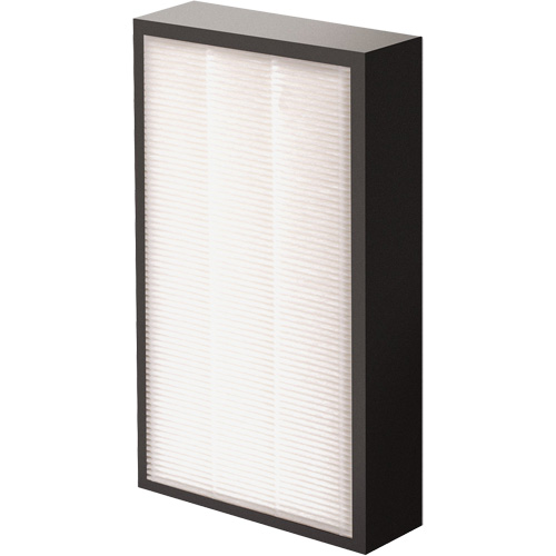 AeraMax&reg; Pro AM2 1-3/4" True HEPA Filter, Box, 7.38" W x 1.88" D x 12.88" H Sidevic Inc.