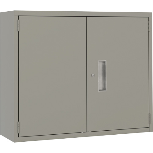 Armoire murale, Acier, 2 Tablettes, 30" h x 36" la x 12" P, Gris Sidevic Inc.