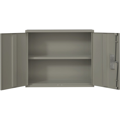 Armoire murale, Acier, 2 Tablettes, 30" h x 36" la x 12" P, Gris Sidevic Inc.