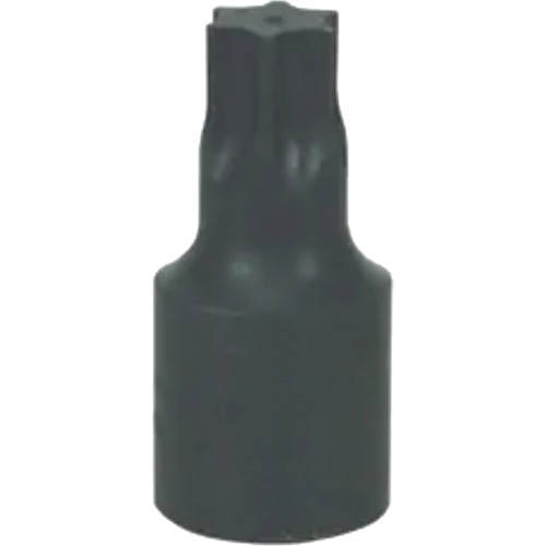 Grand embout Torx&reg; T-70 Sidevic Inc.