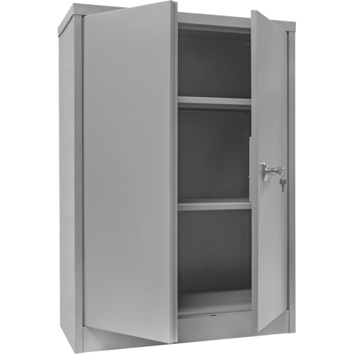 Armoire de rangement &agrave; hauteur de comptoir, Acier, 2 Tablettes, 42" h x 36" la x 24" P, Gris Sidevic Inc.