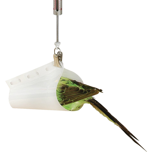 Micro Spring Scale Accessory - Bird Weighing Cone Sidevic Inc.