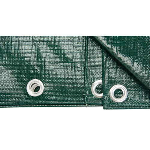 Tarp, Heavy-Duty, Green, 60' x 40' x 9 mils Sidevic Inc.