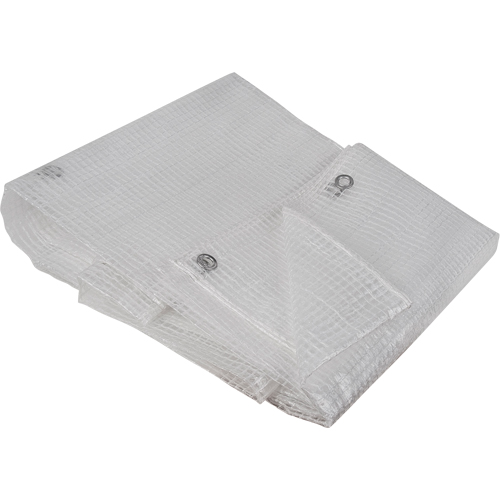 Clear Tarp, 10' x 8' x 8 mils Sidevic Inc.