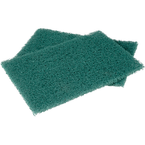 Tampons manuels Scotch-Brite, &agrave; r&eacute;curer, 6" la x 9" l Sidevic Inc.