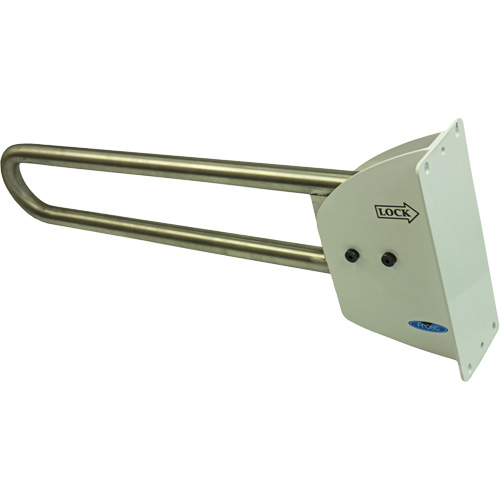 Swing-Up Safety Rail Sidevic Inc.