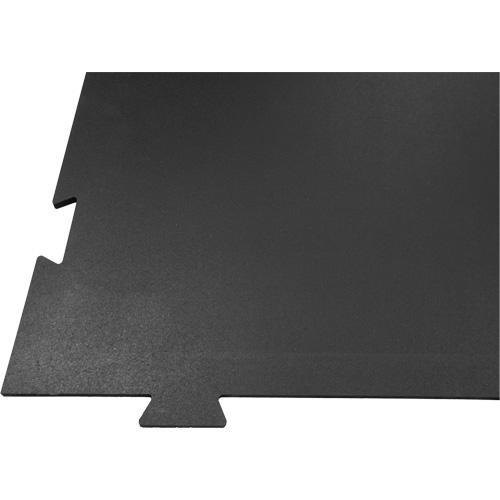 Plancher pour centre d'entraînement &agrave; la maison Voyager Sidevic Inc.