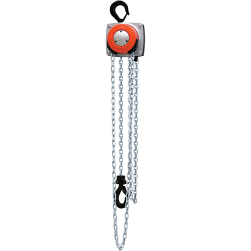 Hurricane 360° Chain Hoist, 10' Lift, 1000 lbs. (0.5 tons) Capacity, Steel Chain Sidevic Inc.