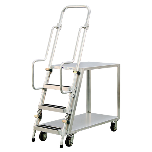 Chariot de pr&eacute;paration en aluminium avec &eacute;chelle, Aluminium, 22" la x 51-1/2" p, 2 tablettes, Capacit&eacute; 800 lb Sidevic Inc.