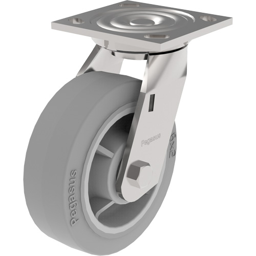 Roulette &agrave; usage moyen de s&eacute;rie 21, Fixe, 5" (127 mm), Ur&eacute;thane, 750 lb (340 kg) Sidevic Inc.
