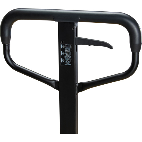 Transpalette &agrave; roues en acier, Acier, 48" lo x 27" la, Capacit&eacute; 5500 lb Sidevic Inc.