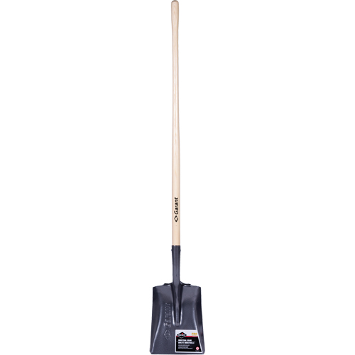 Pro Square Point Shovel, Wood, Tempered Steel Blade, Straight Handle, 48" Long Sidevic Inc.