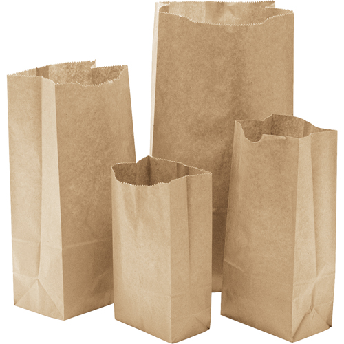 Paper Bags, Paper, 4-13/16" W x 8-1/2" L Sidevic Inc.