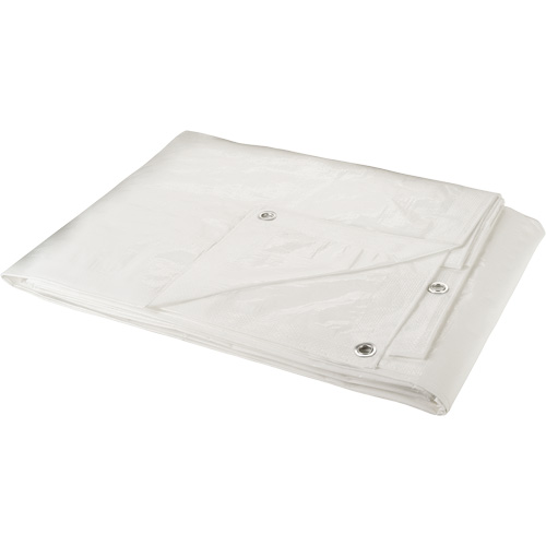 B&acirc;che, Robuste, Blanc, 30' x 20' x 6 mils Sidevic Inc.