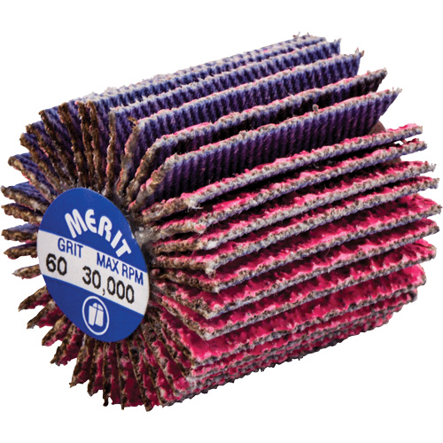 Mini-meule &agrave; lamelles filet&eacute;es, C&eacute;ramique d'alumine, Grain 60, 1" x 1" x 1/4"-20 Sidevic Inc.