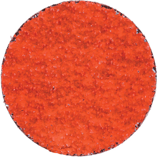 Blaze R980P Quick-Change Cloth Disc, 2" Dia., 36 Grit, Ceramic Alumina Sidevic Inc.