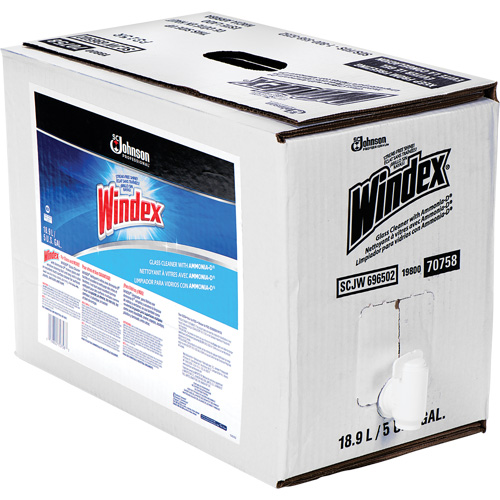 Windex&reg; Glass Cleaner with Ammonia-D&reg;, 5 gal., Bag Sidevic Inc.