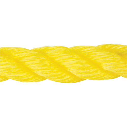 Braided Yellow Rope, Polypropylene, 300' Sidevic Inc.
