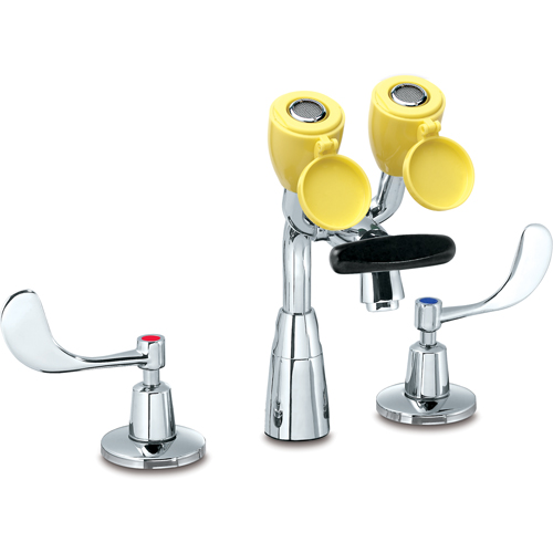 Faucet & Eyewash Station, Sink Mount Installation Sidevic Inc.
