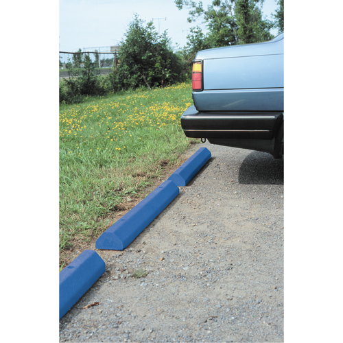 Car Stops, Plastic, 6' L, Blue Sidevic Inc.