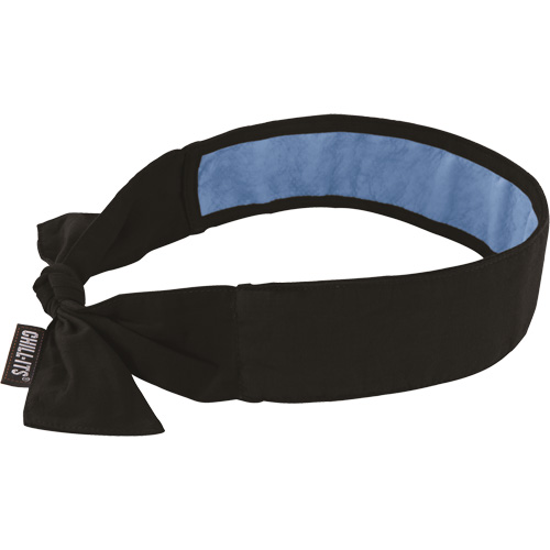 Chill-Its&reg; 6700CT Cooling Bandana, Black Sidevic Inc.