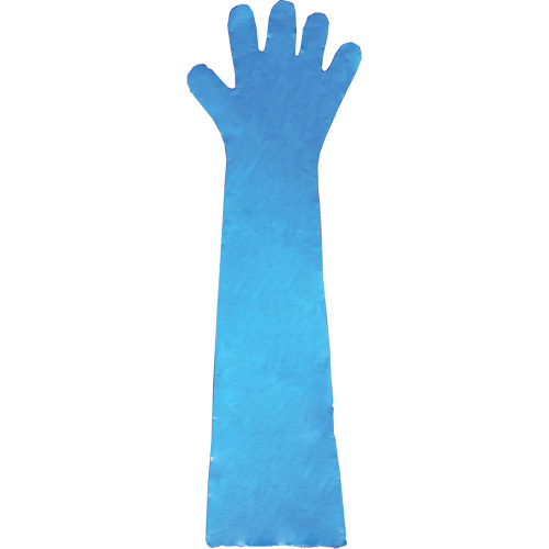 Disposable Gloves, Polyethylene, Powder-Free, Blue Sidevic Inc.