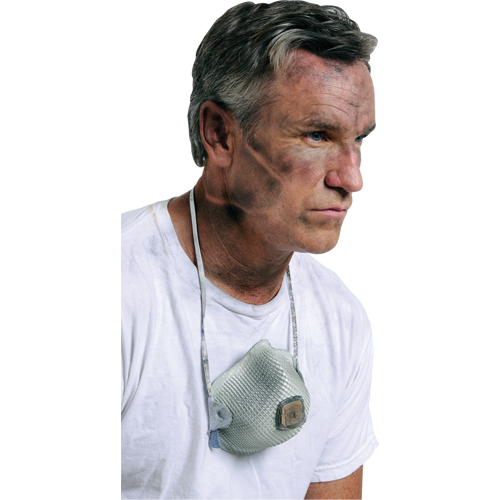 2700 Particulate Respirators, N95, NIOSH Certified, Large/Medium Sidevic Inc.
