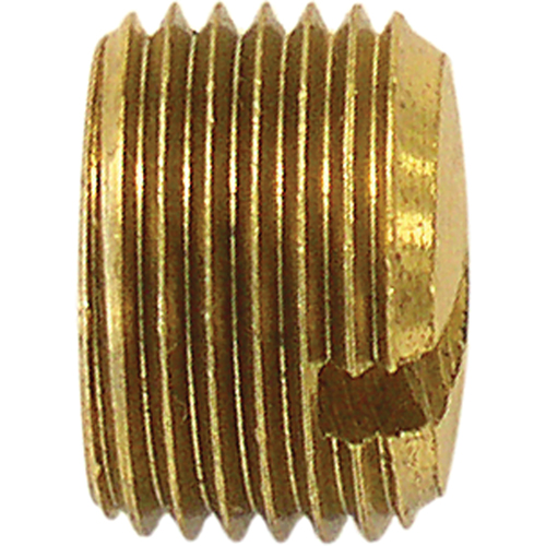 Pipe Plug (Slotted), 3/8" Dia., Brass Sidevic Inc.