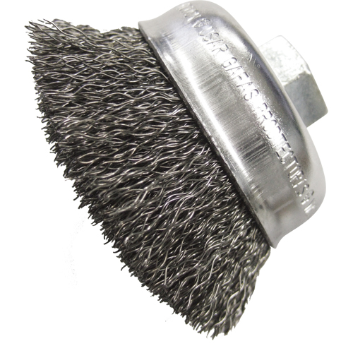 Brosses-boisseau &agrave; fils cr&ecirc;p&eacute;s 2 3/4" Sidevic Inc.