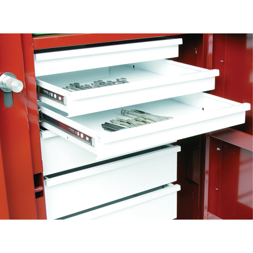 &eacute;tabli roulant, 49-7/8" la x 40-5/8" h x 26-7/8" p, Capacit&eacute; de 24,6 pi³ Sidevic Inc.