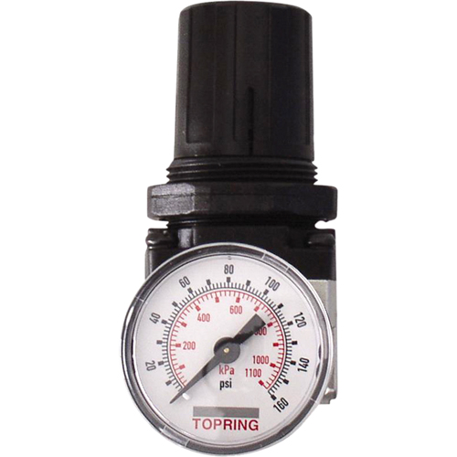 Regulators, 3/8" NPT, 150 PSI Max. PSI, Modular Sidevic Inc.