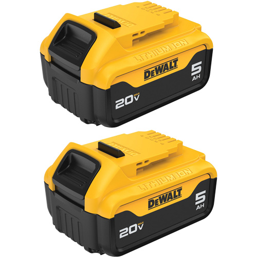 Bloc-piles Max XR Premium, Lithium-ion, 20 V, 5 A Sidevic Inc.