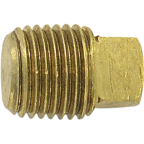 Bouchon de tuyau (t&ecirc;te carr&eacute;e), 3/8" dia., Laiton Sidevic Inc.