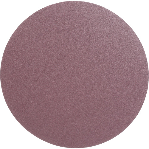 PSA Cloth Disc 348D, 12" Dia., 60 Grit, Aluminum Oxide, X-Weight Sidevic Inc.