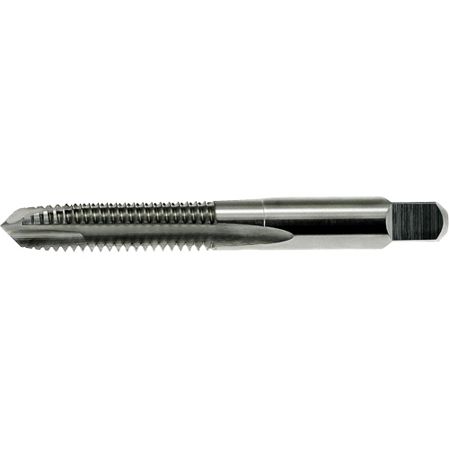 Taraud &agrave; pointe spiral&eacute;e DRILLCO, Acier rapide, Filet de M6x1 Sidevic Inc.