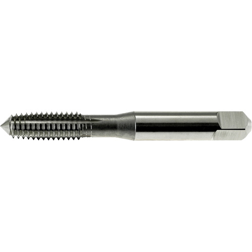 DRILLCO Thread Forming Tap, High Speed Steel, 1/4"-20 Thread Sidevic Inc.