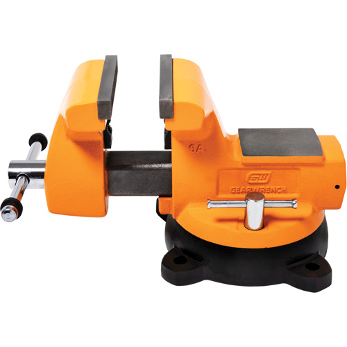 Mechanic's Bench Vise with Anvil, 6" Jaw Width Sidevic Inc.