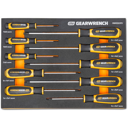 Jeu de tournevis bimat&eacute;riau Torx dans un plateau de rangement en mousse, 10 mcx Sidevic Inc.