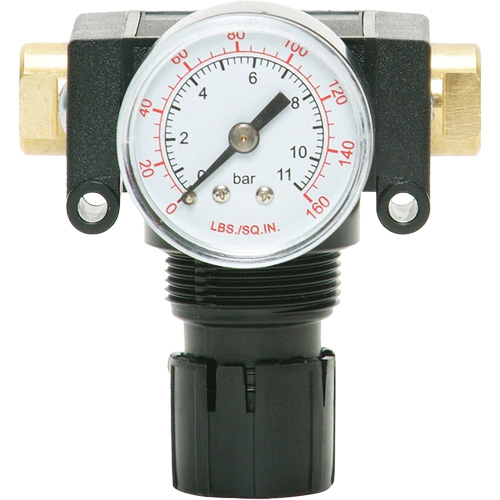 MODULAIR 200 Acetal Piston Regulator, 1/4" NPT, 150 PSI Max. PSI, In Line/Modular Sidevic Inc.