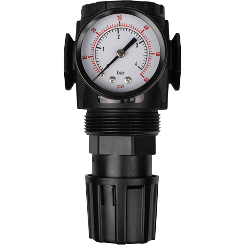 MODULAIR 300 Compressed Air Regulator, 1/2" NPT, 300 psi Max. PSI, In Line/Modular Sidevic Inc.
