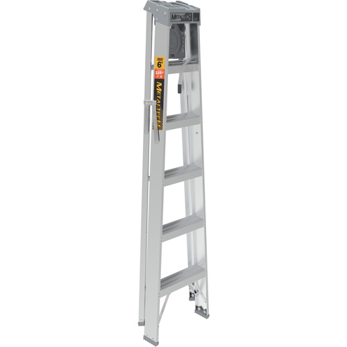 Escabeau avec plateau &agrave; peinture, 6', Aluminium, Capacit&eacute; 225 lb, Type 2 Sidevic Inc.