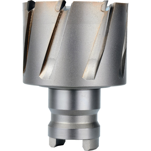 Quick Change Tang Drive Hawg&reg; Cutter, 2" Diameter, Steel, 1" Depth of Cut Sidevic Inc.