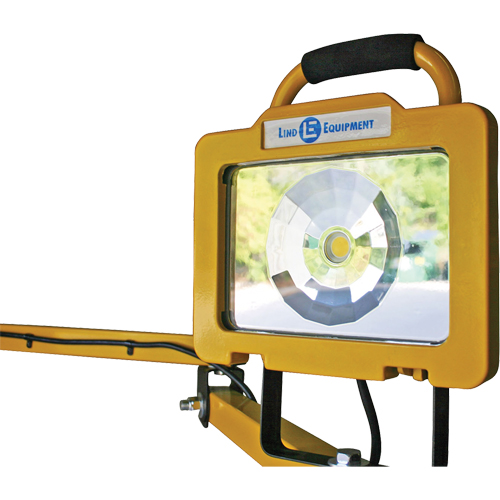 Heavy-Duty Dock Light, 40" Arm, 38 W, LED Lamp, Metal Sidevic Inc.