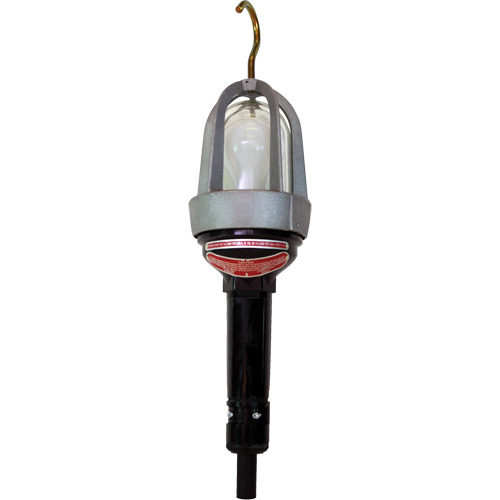Baladeuses pour emplacements dangereux Sidevic Inc.