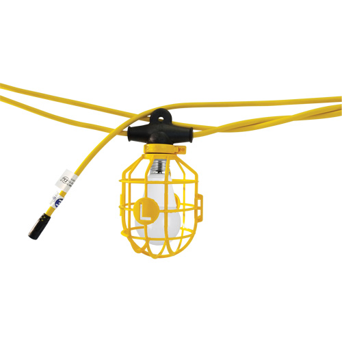 Guirlande &eacute;lectrique &agrave; DEL avec connecteur, 10 Lumi&egrave;res, 100' lo, Boîtier en Plastique Sidevic Inc.